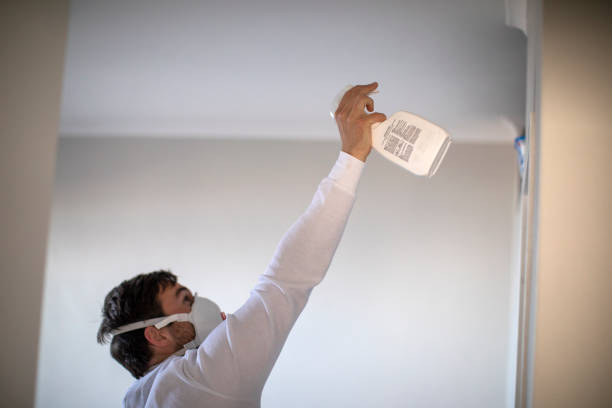 Best Mold Testing  in Kaufman, TX