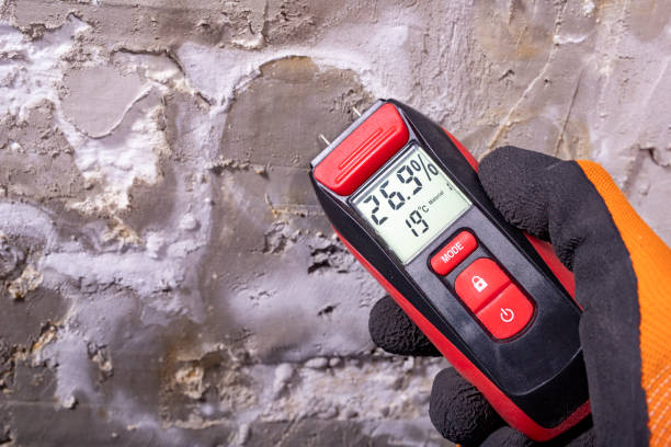Best Mold Remediation  in Kaufman, TX