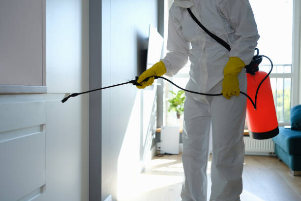 Best Residential Mold Removal  in Kaufman, TX