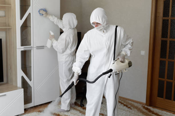 Best Black Mold Removal  in Kaufman, TX